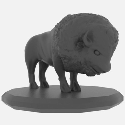 Bison