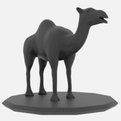 Camel