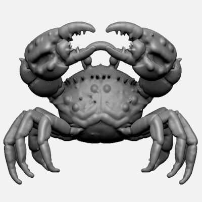 Crab-Crab Pendant