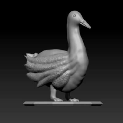 Duck