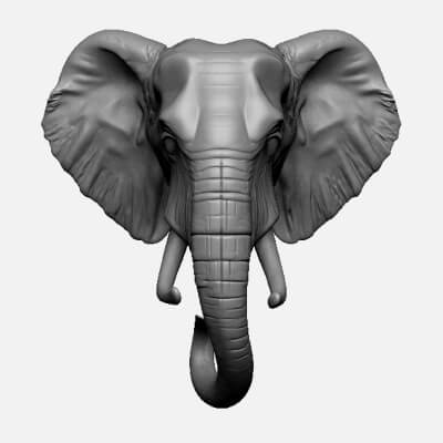  Elephant Head