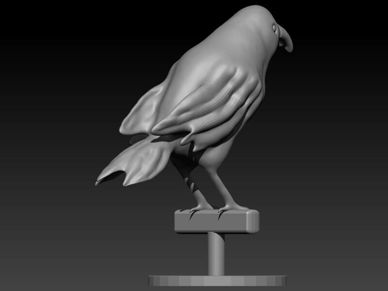 Finch - 3D Model by elitemodelry