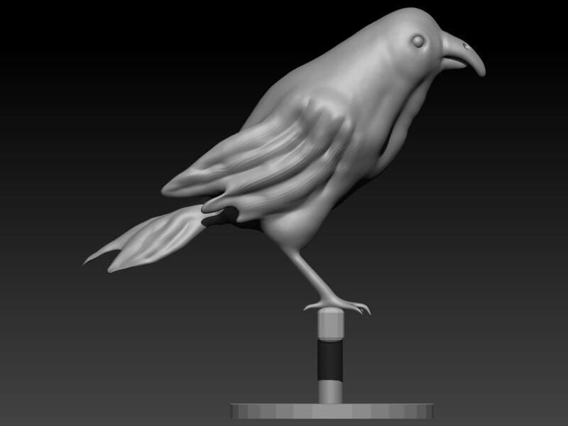 Finch - 3D Model by elitemodelry