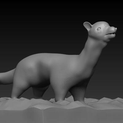 Weasle
