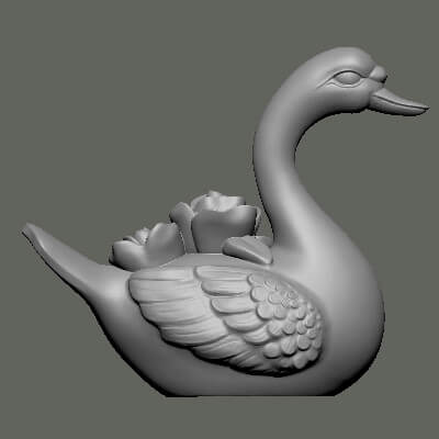 Swan Swan Bird