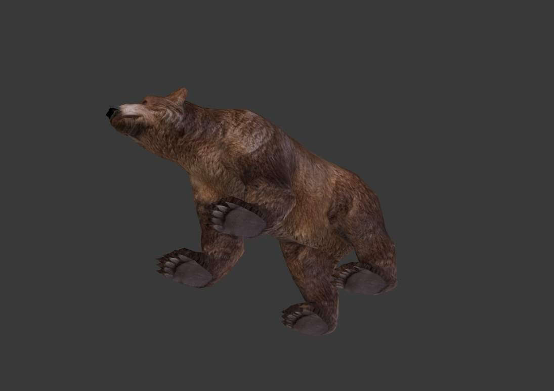 Brown Bear - 3D Model by Enterables