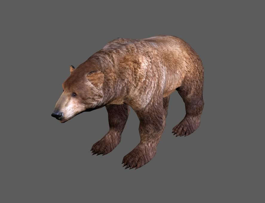 Brown Bear - 3D Model by Enterables
