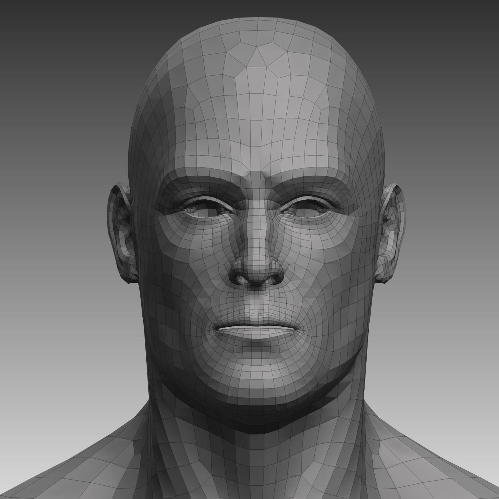 Anatomical Body Base Mesh 3D Model by erik_redhair