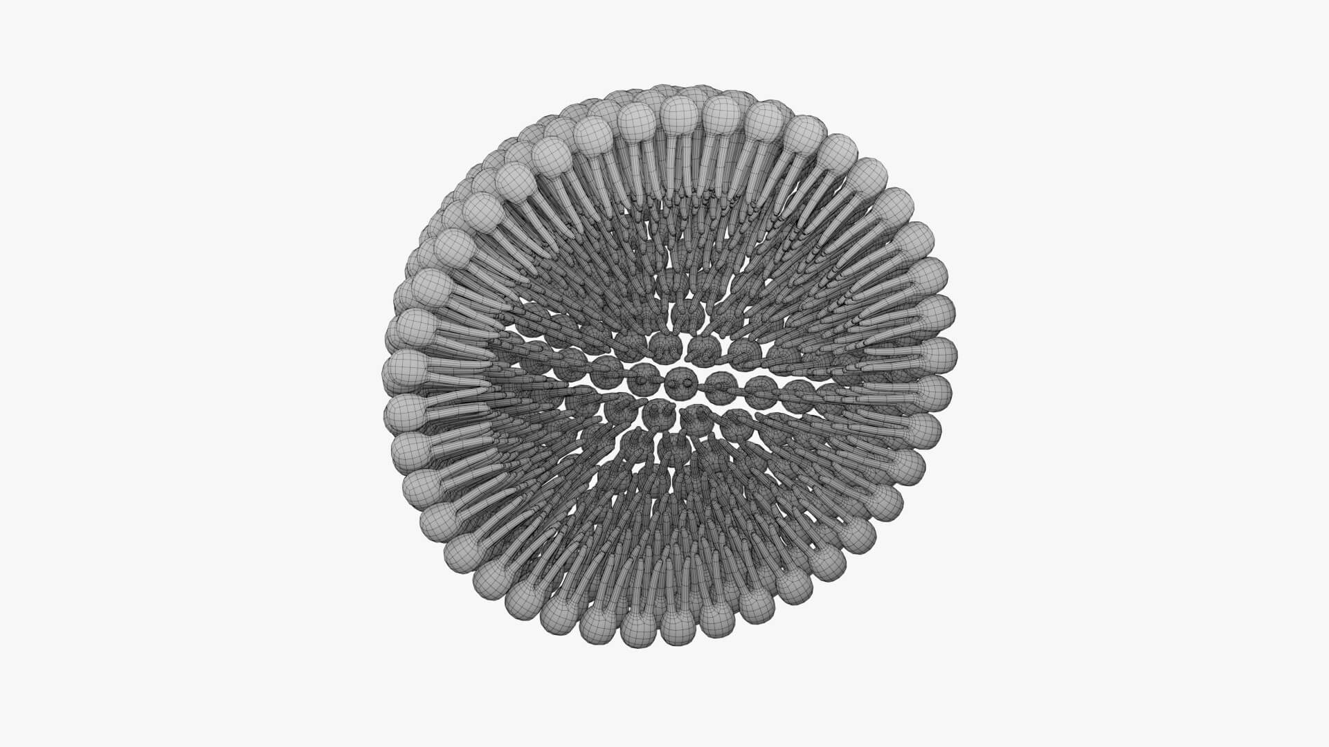 Micelle Normal and Reverse 3D Model by esfey