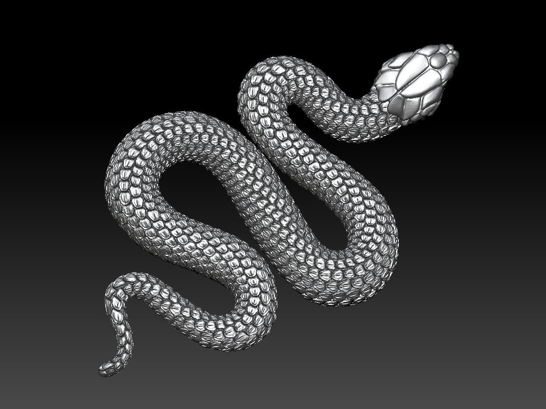Snake 3D Model By Explorer