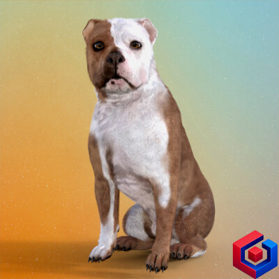 Bullmastiff for DAZ Dog 8