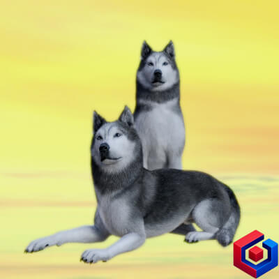 Cold Dogs for DAZ Dog 8