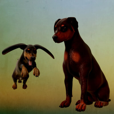Dogs Morphs for Daz Dog 8