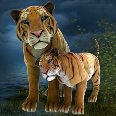 Hybrids Morph for DAZ Bic Cat 2
