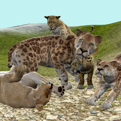 Sabertooths Morphs for DAZ Big Cat 2