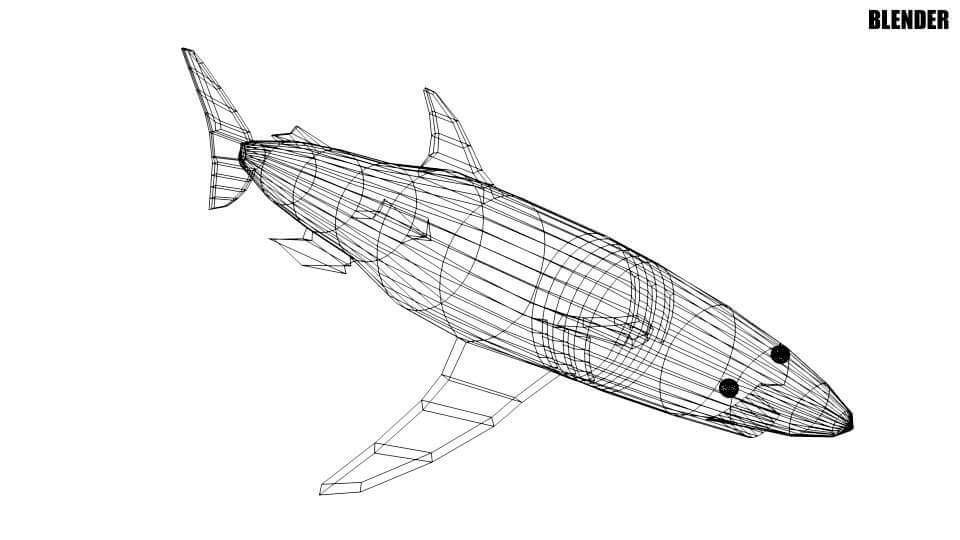 Mako Shark 3D Model by faizal3DX
