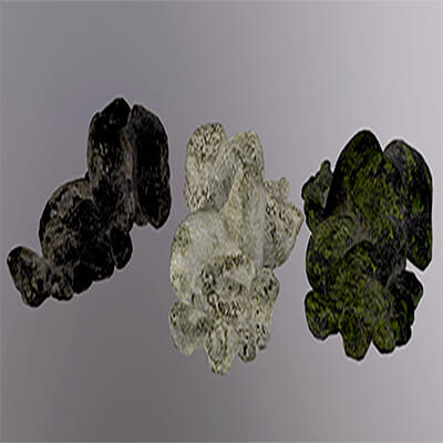 Rock Collections V1
