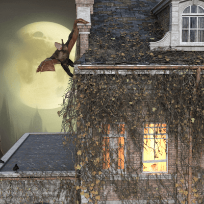 Night of the Werebat