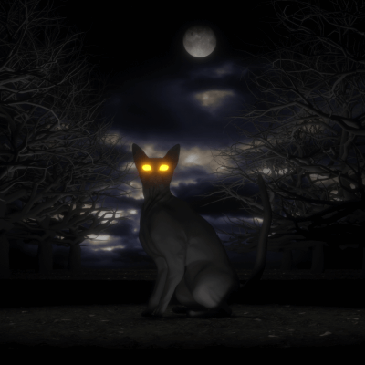 Contest Entry - He Rules The Night