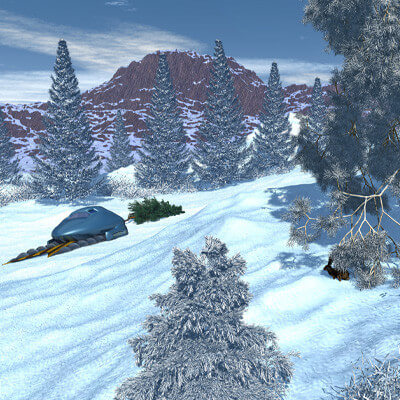 Bringing Home the Christmas Tree