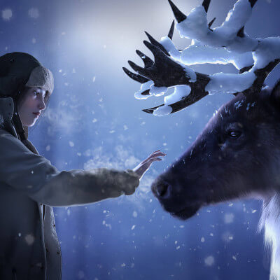 Frozen Moment