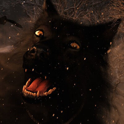 Wolf of Winter