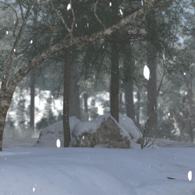 A Real Winter Wonderland.