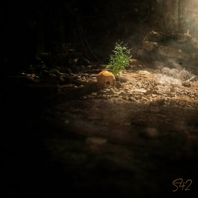 all that remains.....