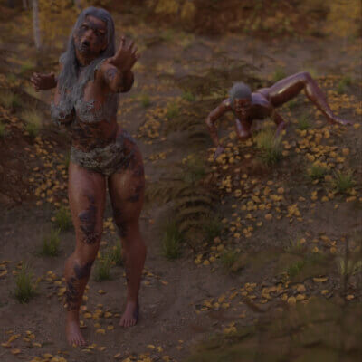 In a Forest
