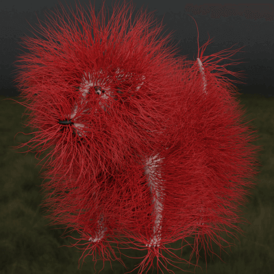 My furry little friend