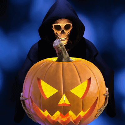Pumpkin harvest
