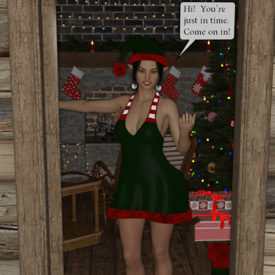 The Elfs Guest