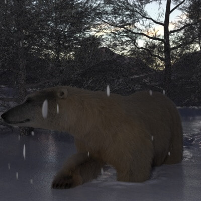 Solitary life in the Snow.