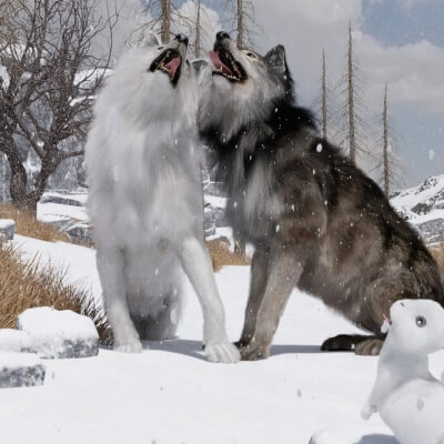 Catching Snow Flakes