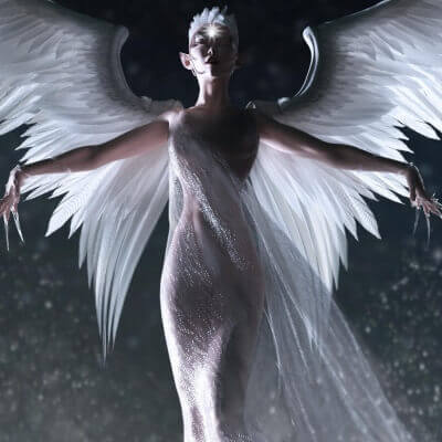 The Wings of Winter