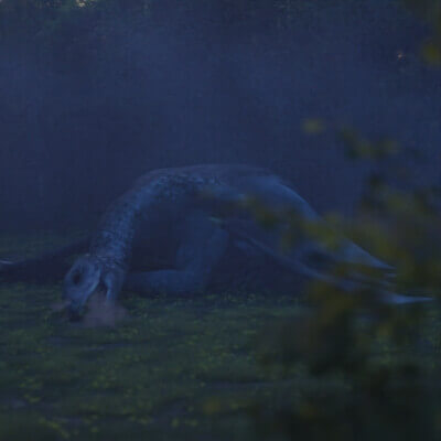 Close Encounter