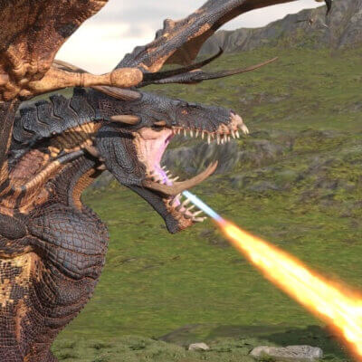 The Dragon World Portal.