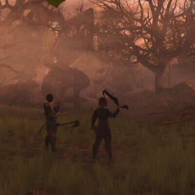 Unexpected confrontation