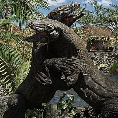 Observations from the Waterhole