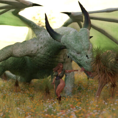 K.O. in the first Round