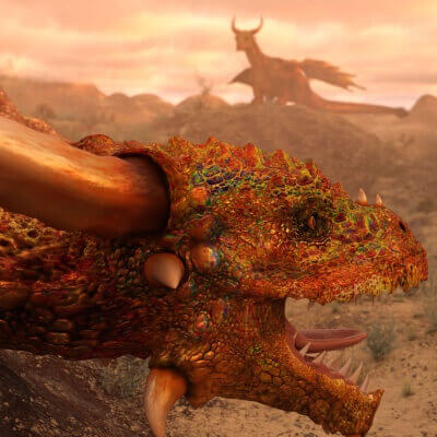 The Dragon Desert