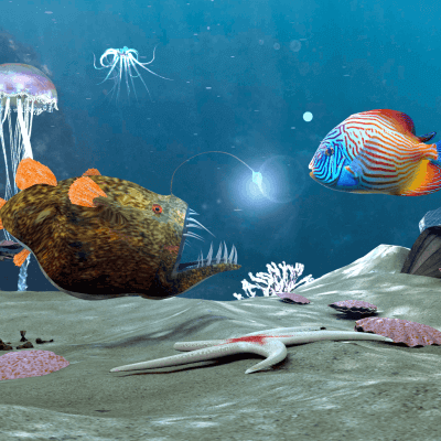 Lights under the sea