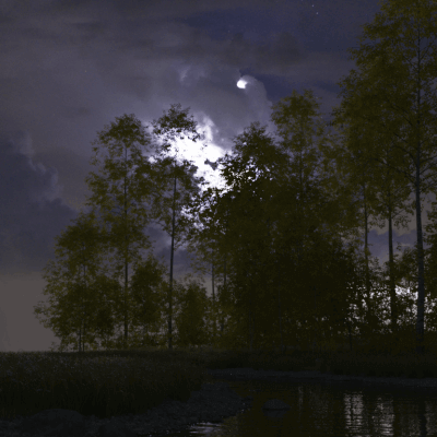 Evening Reflections.
