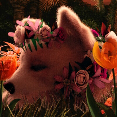 Spring Magic