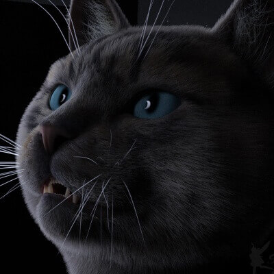 Cat in the Moonlight