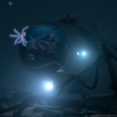  NO LIGHT NO REFLECTION 