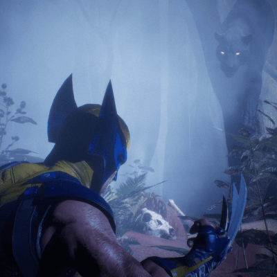 Wolverine vs BlackPanther