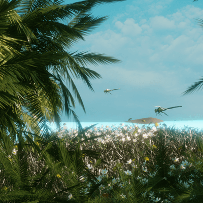 Hawaii - Aloha
