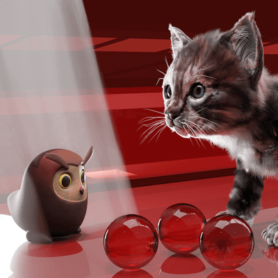 Kitty cat in the Metro - Lost and Found