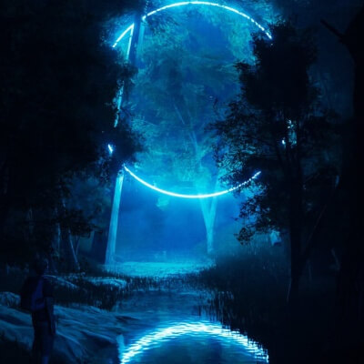 Phantom Forest
